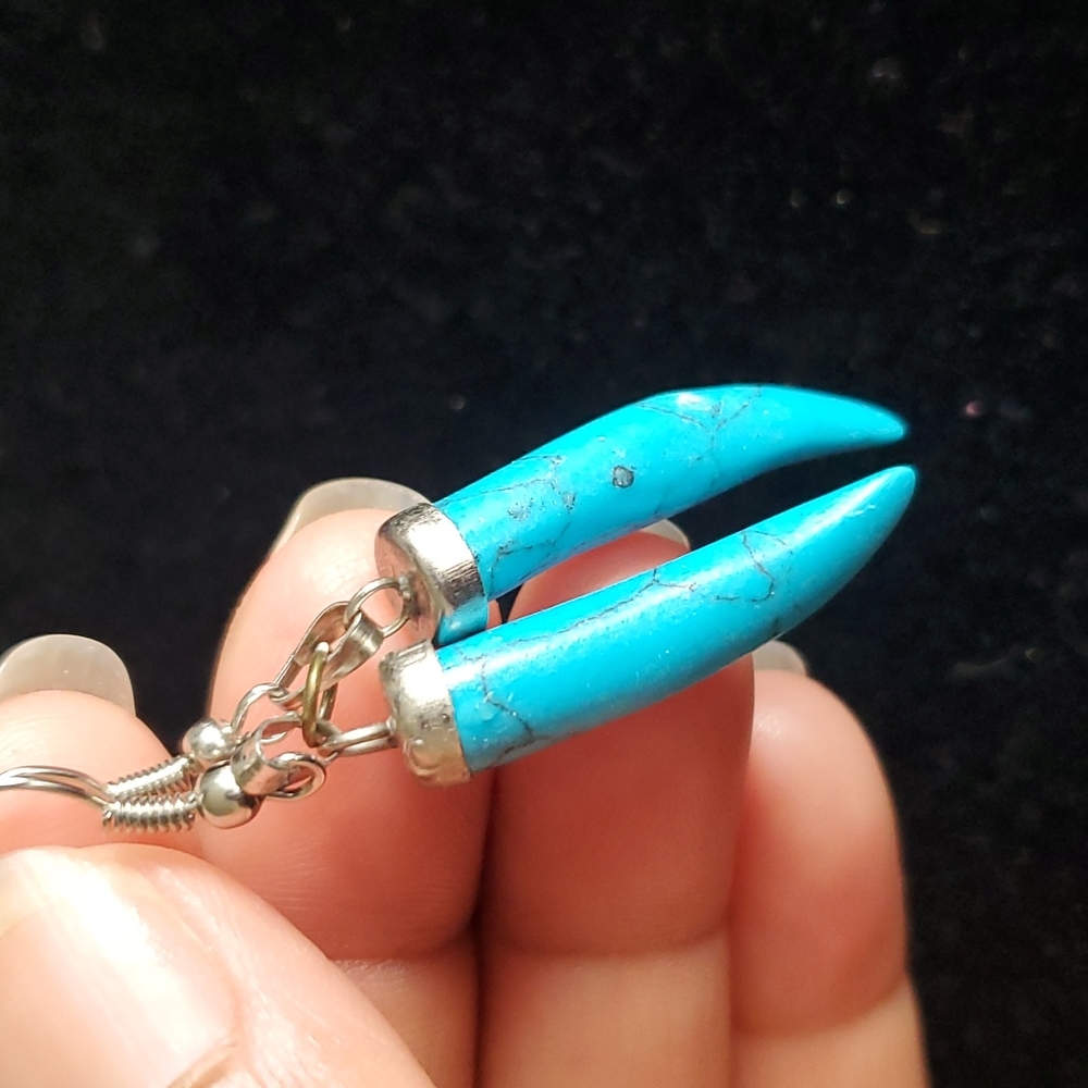 Turquoise Earrings.
